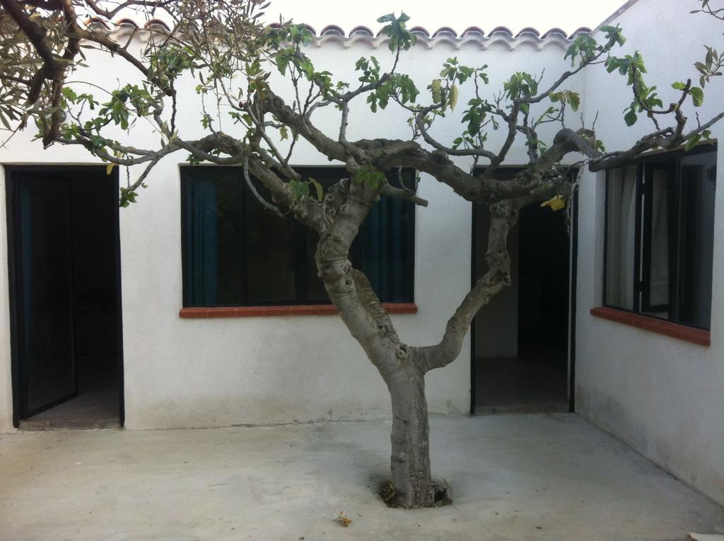 Hotel Du Coté de Chez Soi La Ciotat Habitación foto
